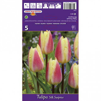 Tulipán Silk Surprise obrázok 3