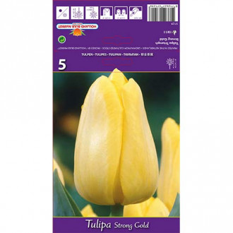 Tulipán Stronggold obrázok 5