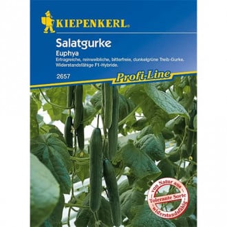 Uhorka šalátová Euphya F1 obrázok 17