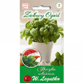 Zelenolistá bazalka obrázok 2