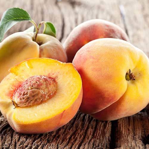 Broskyňa Fayette obrázok 1 artikel 4293