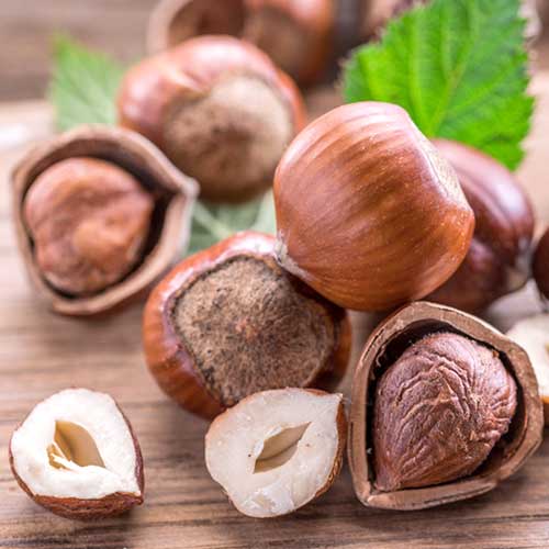 Lieska Ennis obrázok 1 artikel 6934