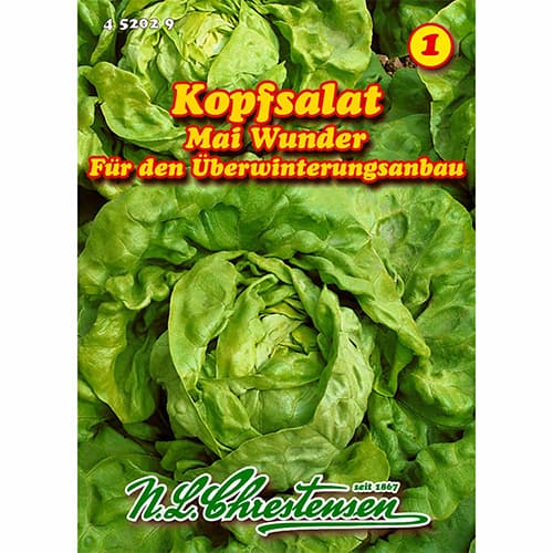 Šalát Mai Wunder artikel fotografia 1 Šalát Mai Wunder obrázok 1 artikel 96479