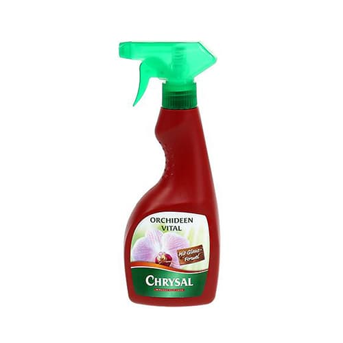 Hnojivo na orchidey artikel fotografia 1 Hnojivo na orchidey obrázok 1 artikel 96936