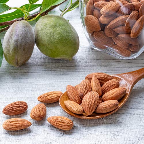 Mandľovník Avijor, С2 obrázok 2 artikel 7947