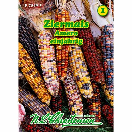 Okrasná kukurica Amero, zmes obrázok 1 artikel 96457