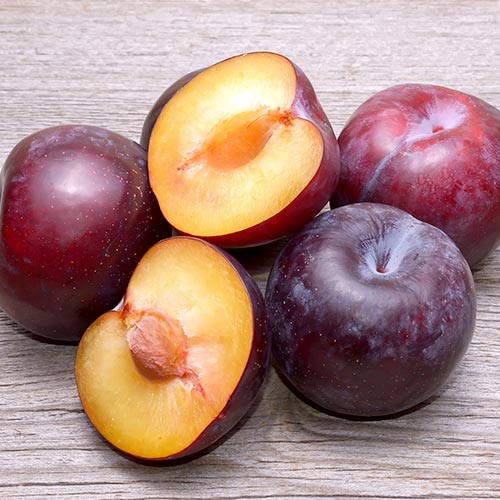 Slivka Angeleno obrázok 1 artikel 4308