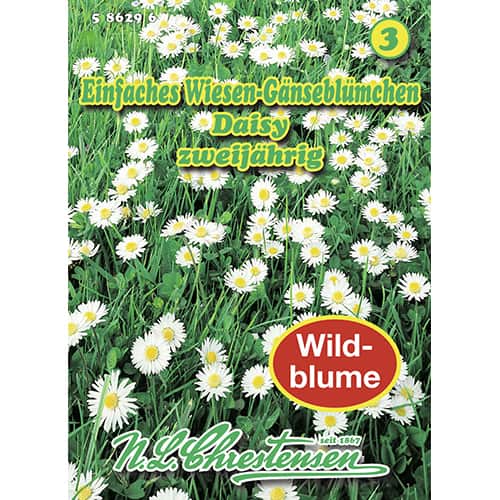 Sedmokrásky trvalky Daisy obrázok 1 artikel 87801