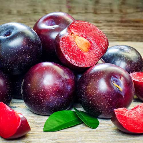 Broskyňa Suzee 699 obrázok 1 artikel 4304