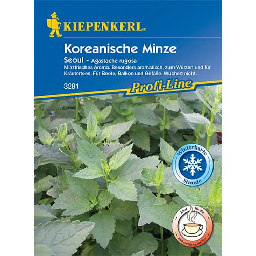 Agastache kórejská Seoul obrázok 1 artikel 86465