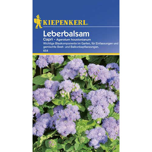 Agerát mexický Capri obrázok 1 artikel 77393