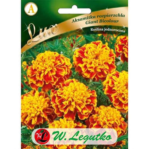 Aksamietnica rozložitá Giant Bicolour obrázok 1 artikel 78650