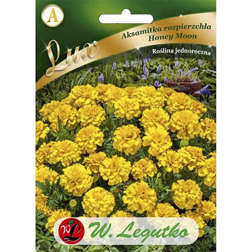 Aksamietnica rozložitá Honey Moon obrázok 1 artikel 86737