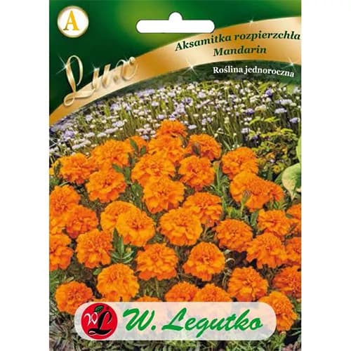 Aksamietnica rozložitá Mandarin obrázok 1 artikel 86738