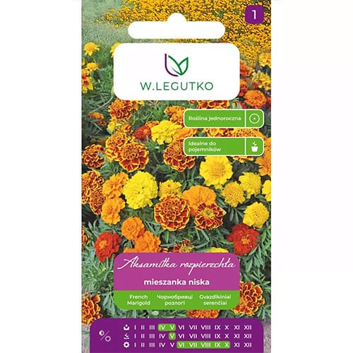 Aksamietnica rozložitá, zmes obrázok 1 artikel 69551