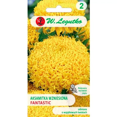 Aksamietnica vzpriamená Fantastic žltá obrázok 1 artikel 96692