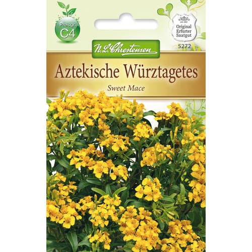 Aksamitník lesklý Sweet Mace obrázok 1 artikel 78942