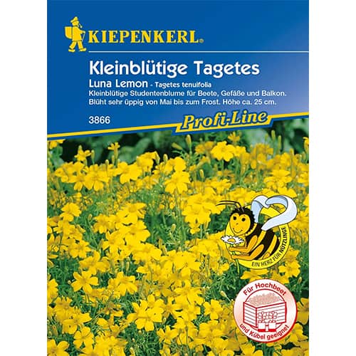 Aksamitník mexický Luna Lemon obrázok 1 artikel 86347