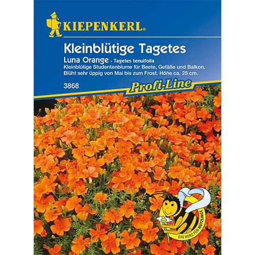 Aksamitník mexický Luna Orange obrázok 1 artikel 86348