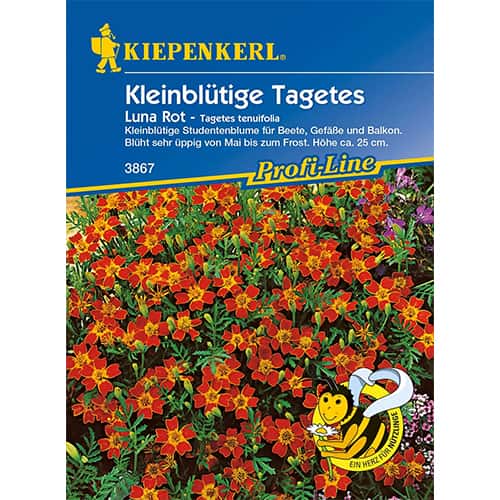 Aksamitník mexický Luna Rot obrázok 1 artikel 86349