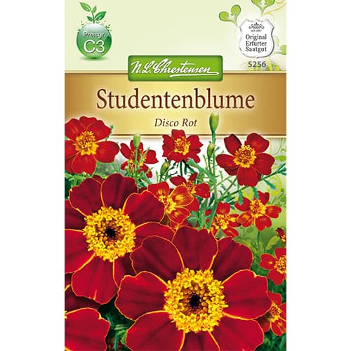 Aksamitník rozkladitý Disco Rot obrázok 1 artikel 78745