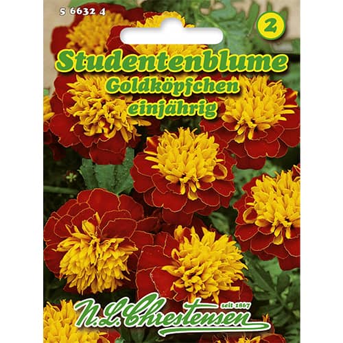 Aksamitník rozkladitý Goldköpfchen obrázok 1 artikel 86207