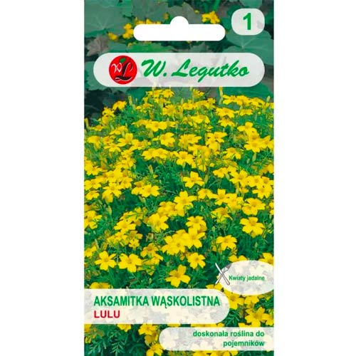 Aksamitník úzkolistý Lulu artikel fotografia 1 Aksamitník úzkolistý Lulu obrázok 1 artikel 78940