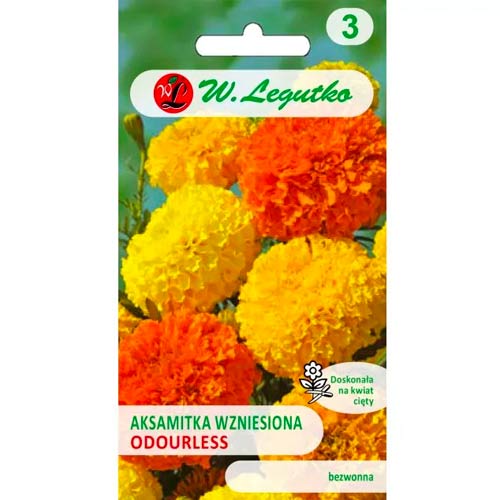 Aksamitník vzpriamený trpasličí bezzapachowa, zmes obrázok 1 artikel 50080