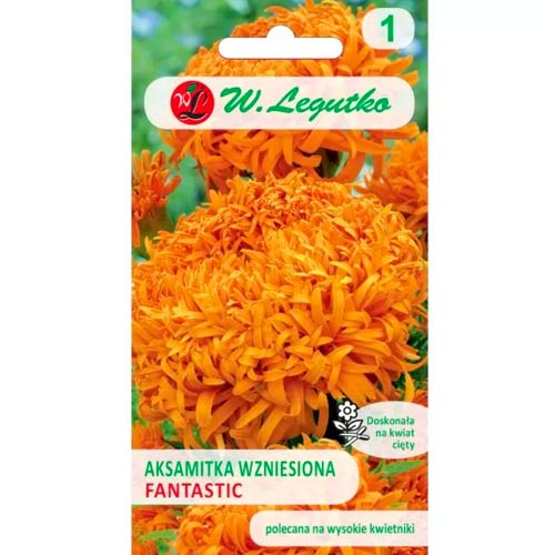 Aksamitník vzpriamený trpasličí Fantastic pomarańczowa obrázok 1 artikel 78507