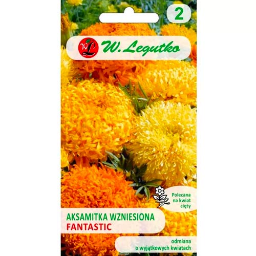 Aksamitník vzpriamený trpasličí Fantastic, zmes obrázok 1 artikel 69554