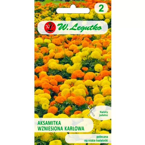 Aksamitník vzpriamený trpasličí karłowa, zmes obrázok 1 artikel 50081