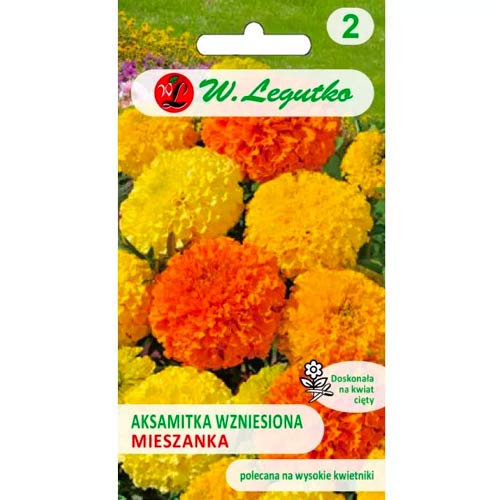 Aksamitník vzpriamený trpasličí wysoka, zmes artikel fotografia 1 Aksamitník vzpriamený trpasličí wysoka, zmes obrázok 1 artikel 50082