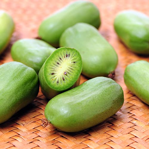 Aktinídia čínska Issai, P9 obrázok 1 artikel 9238