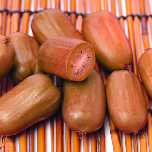 Aktinídia čínska Ken's Red, P9 obrázok 1 artikel 9240