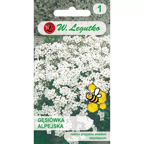 Arábka alpínska, zmes obrázok 1 artikel 87861