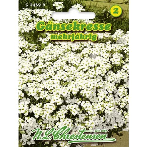 Arábka kaukazská obrázok 1 artikel 96402