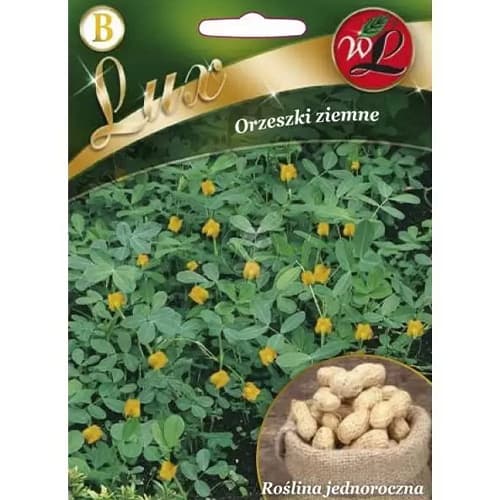 Arašidy obrázok 1 artikel 78667