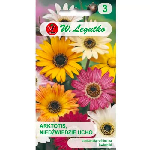 Arktotis (medvedie ucho), zmes obrázok 1 artikel 69555