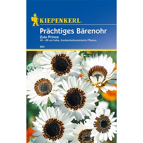 Arktotis Zulu Prince obrázok 1 artikel 77423