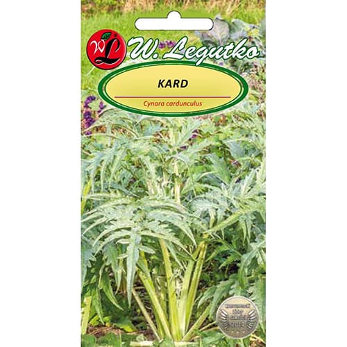 Artičok španielsky Bianco avorio obrázok 1 artikel 96809