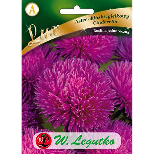 Astra čínska ihlicovitá Cinderella obrázok 1 artikel 86742