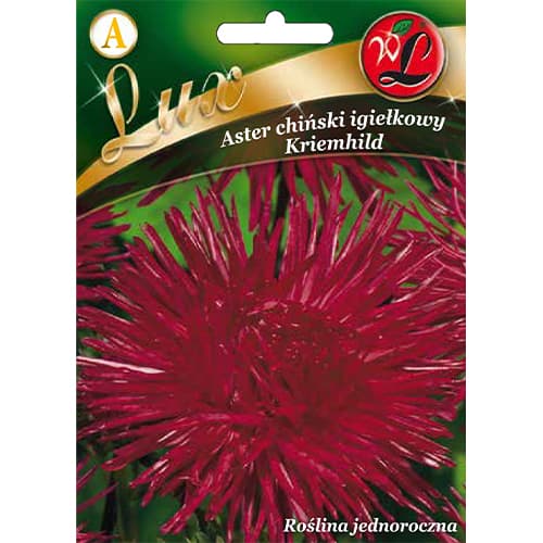 Astra čínska ihlicovitá Kriemhild artikel fotografia 1 Astra čínska ihlicovitá Kriemhild obrázok 1 artikel 86743