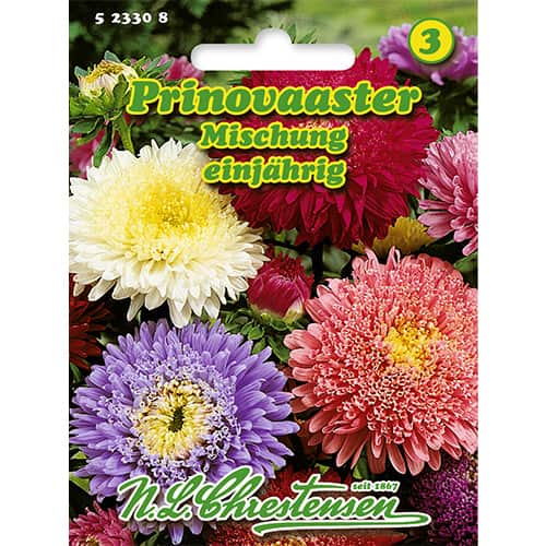 Astra čínska kniežacia veľkokvetá zmes obrázok 1 artikel 86137