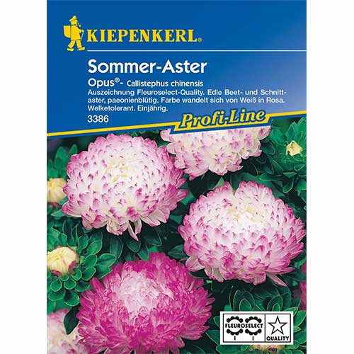 Astra čínska pivóniová Opus obrázok 1 artikel 96572