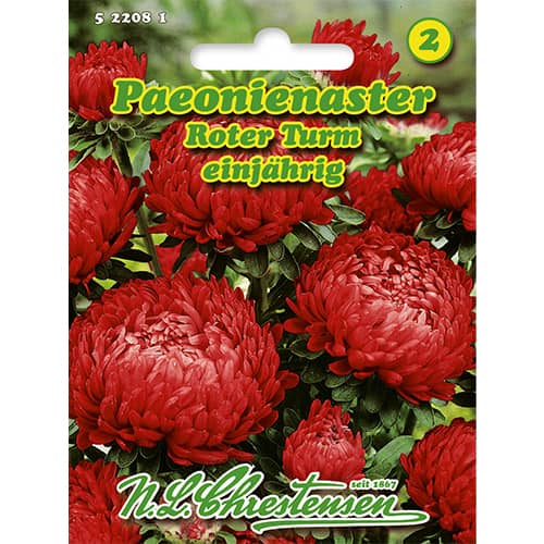Astra čínska pivóniová Roter Turm obrázok 1 artikel 86136