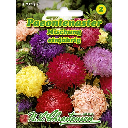 Astra čínska pivóniová, zmes видів obrázok 1 artikel 86135