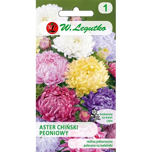 Astra čínska pivoňkovitá, zmes obrázok 1 artikel 78529