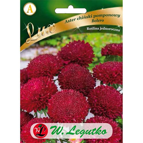 Astra čínska pomponkovitá Bolero obrázok 1 artikel 86744