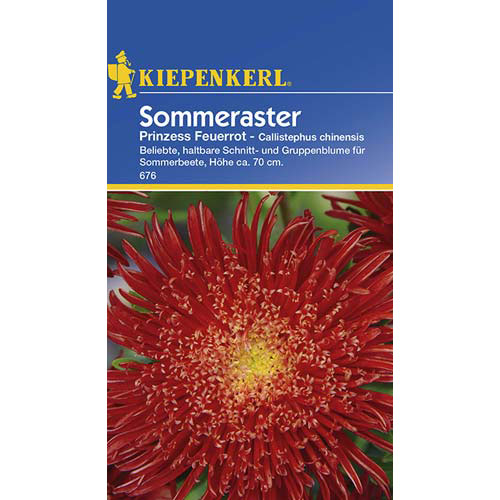 Astra čínska Prinzess, červená obrázok 1 artikel 77430