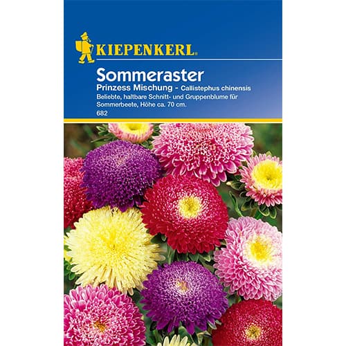 Astra čínska Prinzess, zmes obrázok 1 artikel 86316